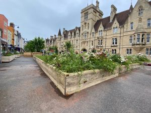 Broad Meadow upcycled planters