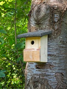 recycled wood into birdhouse